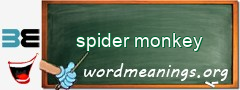 WordMeaning blackboard for spider monkey